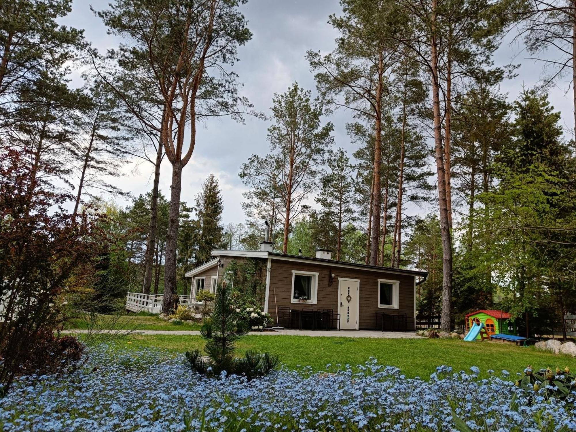 Sosnowy Azyl Villa Wąglikowice Exterior photo